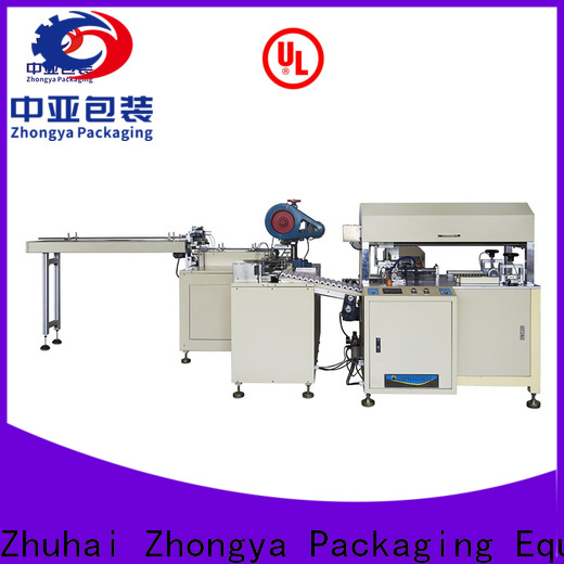 Zhongya Packaging conveyor system customized for plant